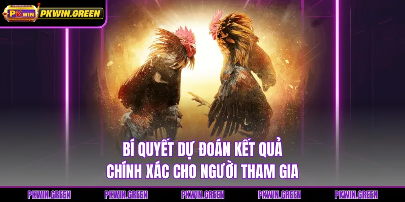 Bí quyết dự đoán kết quả chính xác cho người tham gia