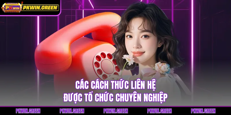 Các cách thức liên hệ được tổ chức chuyên nghiệp