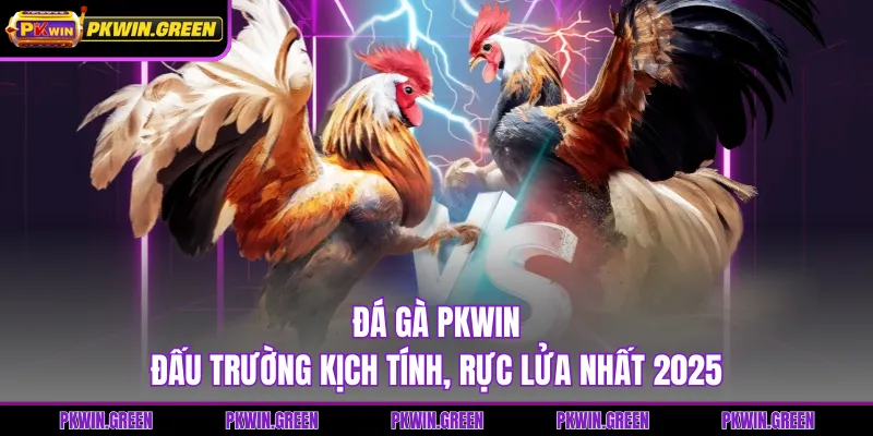 Đá Gà PKWIN - Đấu Trường Kịch Tính, Rực Lửa Nhất 2025