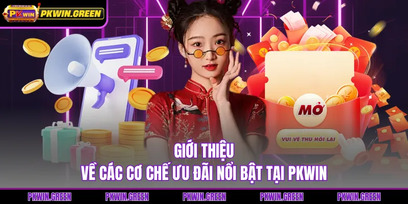Giới thiệu về các cơ chế ưu đãi nổi bật tại PKWIN