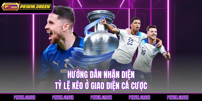 Hướng dẫn nhận diện tỷ lệ kèo ở giao diện cá cược